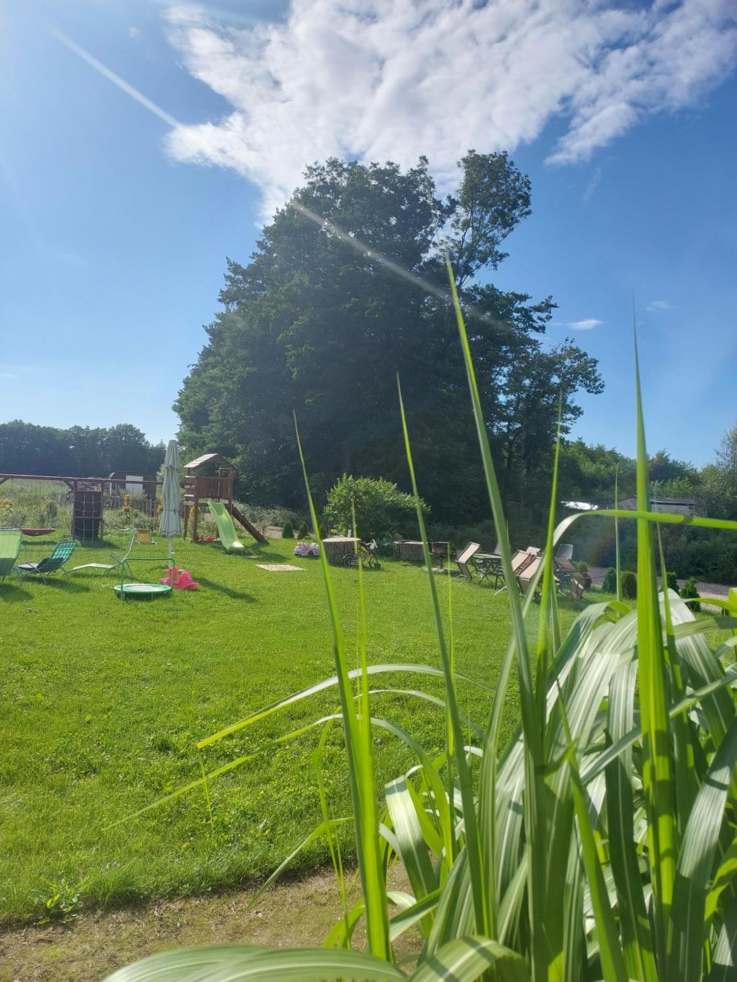 Paprotowka Apartament Wiosenny Paprotno Esterno foto